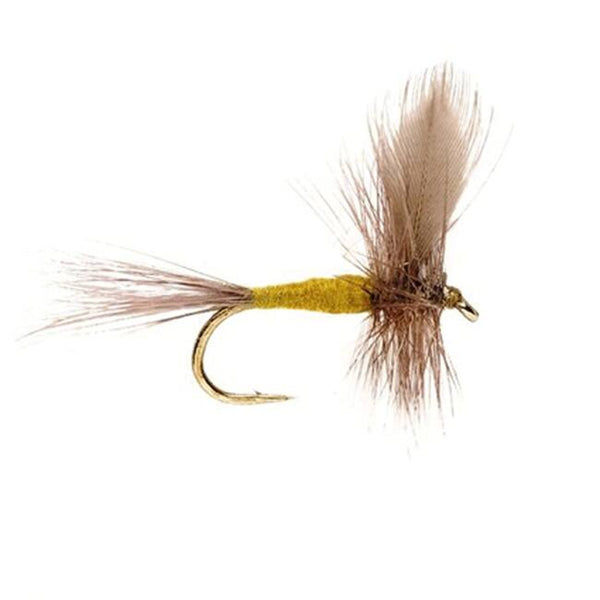 Blue Winged Olive