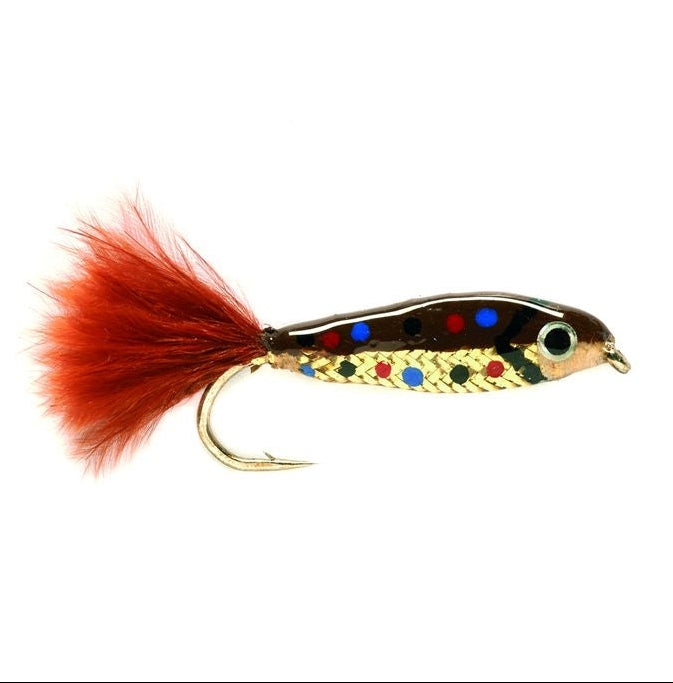 Brownie Parr Gr.8 - Streamer
