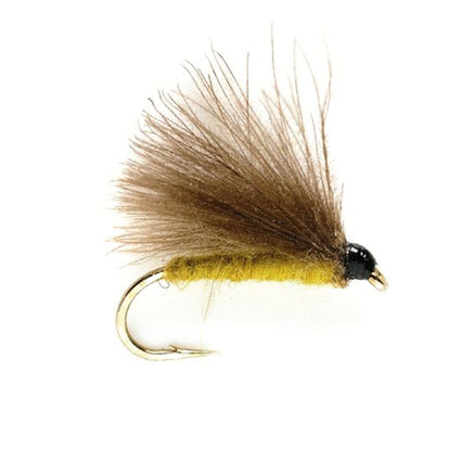 CDC Olive Trockenfliege mit olivfarbenem Körper und dunklem CDC-Flügel