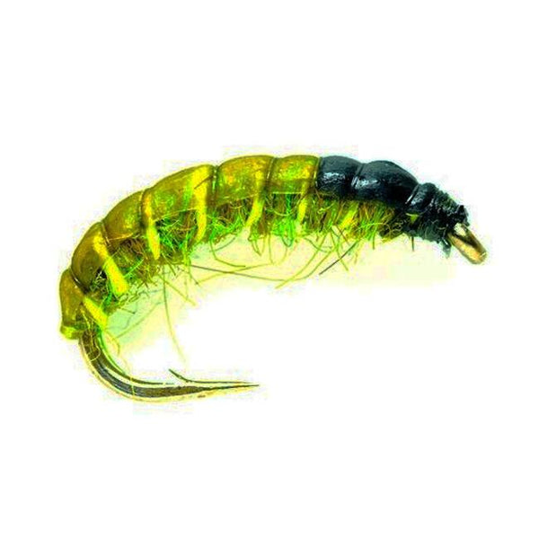 Czech Nymph Olive