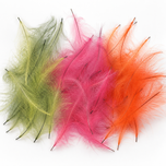 CDC-Federn XL Jumbo