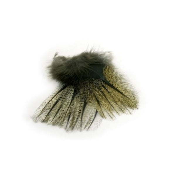 Coq de Leon Federn -pardo- Marc Petitjean