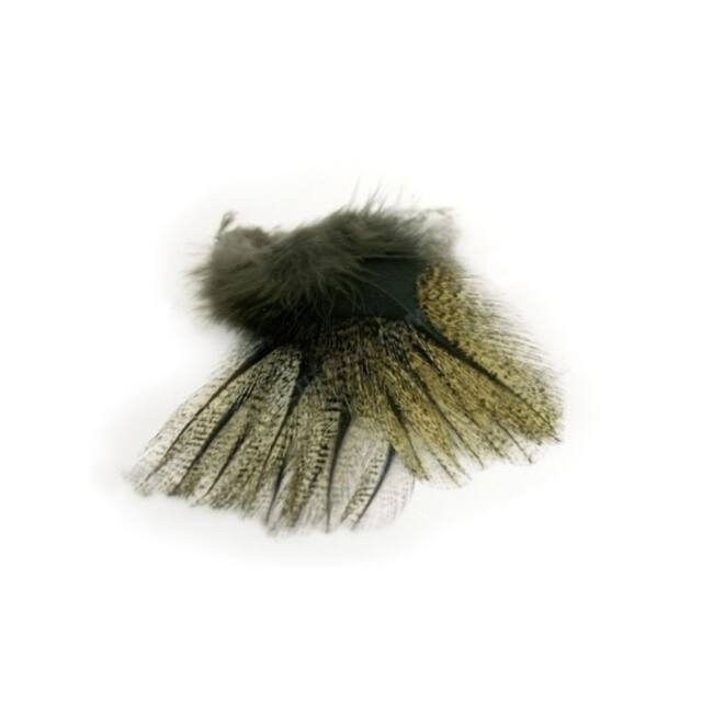 Coq de Leon Federn -pardo- Marc Petitjean