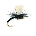 Klinkhammer Black Emerger-Trockenfliege mit schwarzem Körper, Parachute-Hechel und weißem Sichtflügel