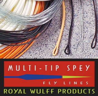 Lee Wulff  Triangle Taper Multi-Tip Spey -schwimmend-  #10