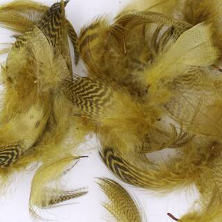 UV2 Mallard Flank Feathers -olive-