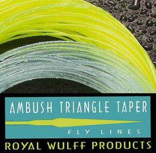 Lee Wulff  Triangle Taper Ambush -Clear Head intermediate-