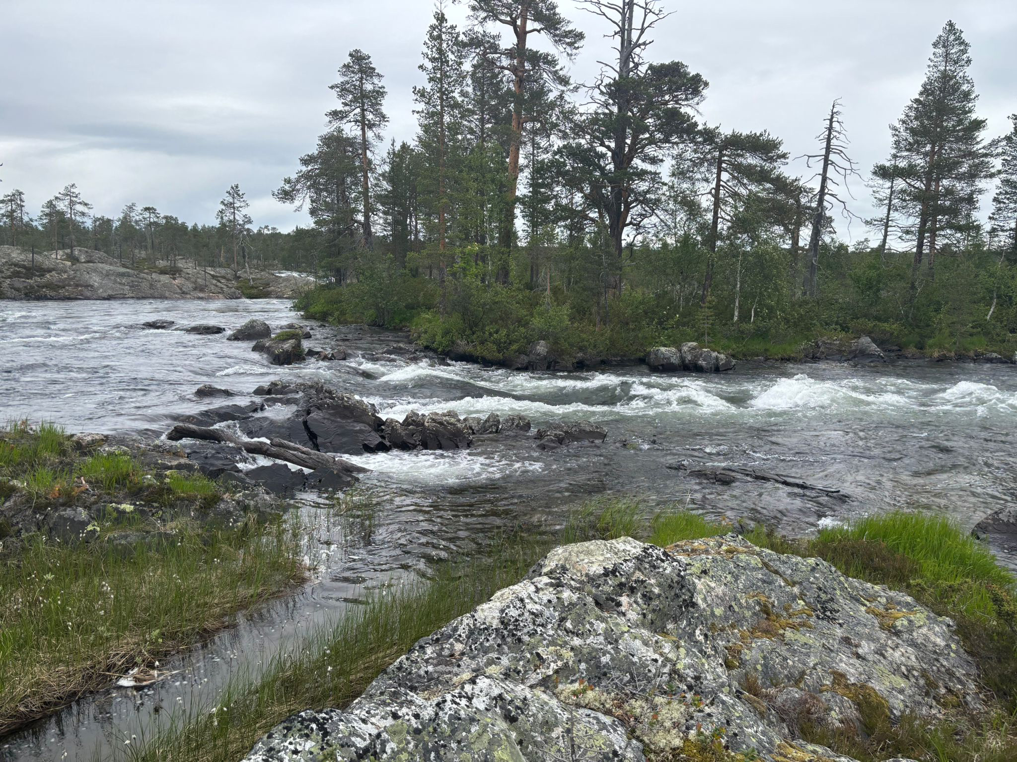 Thomas in Lappland